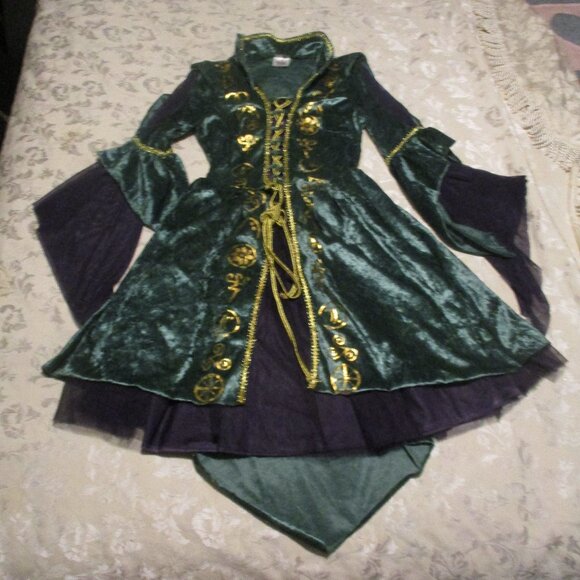 Disney Hocus Pocus Winifred costume M - Picture 2 of 6